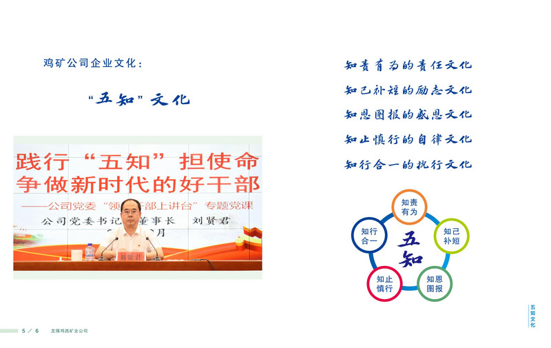 龙煤   画册Q_06.jpg