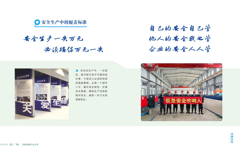 龙煤   画册Q_11.jpg