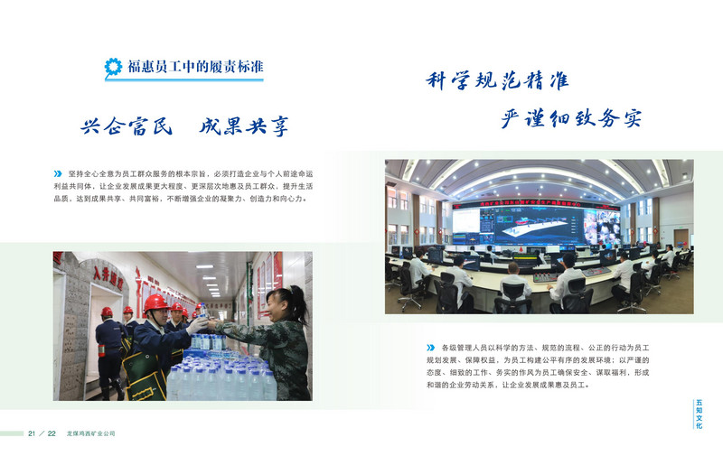 龙煤   画册Q_14.jpg