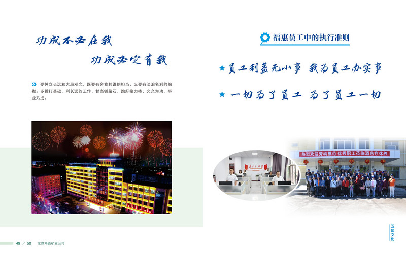 龙煤   画册Q_28.jpg